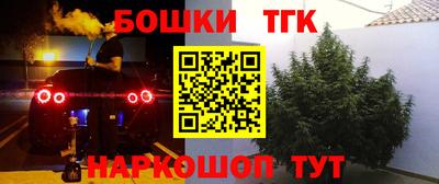 спиды Бийск